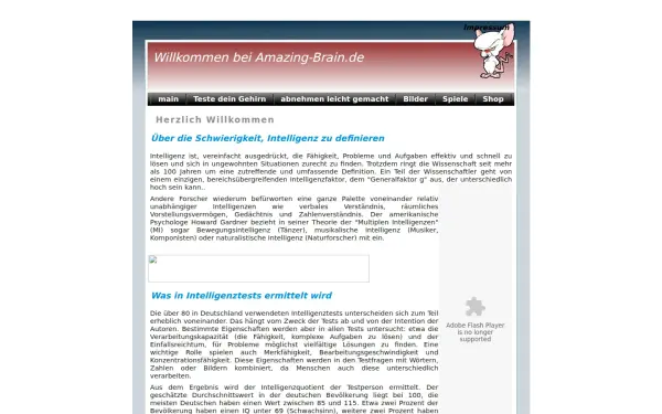 amazing-brain.de