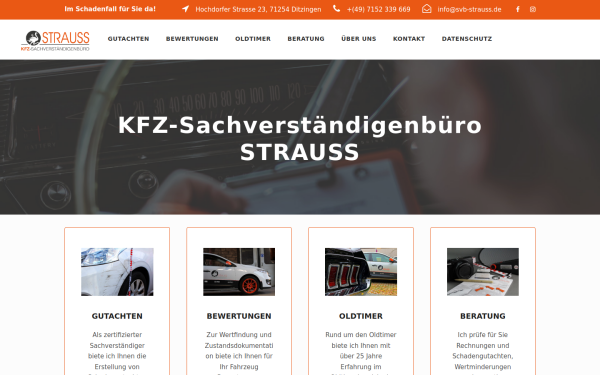 www.svb-strauss.de