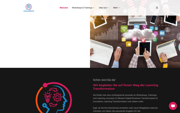 vidalligence.academy