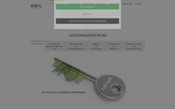 afm-partner.de