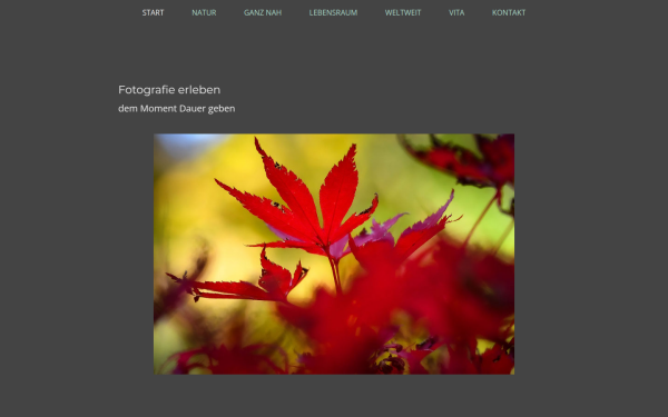 www.foto-mh.de