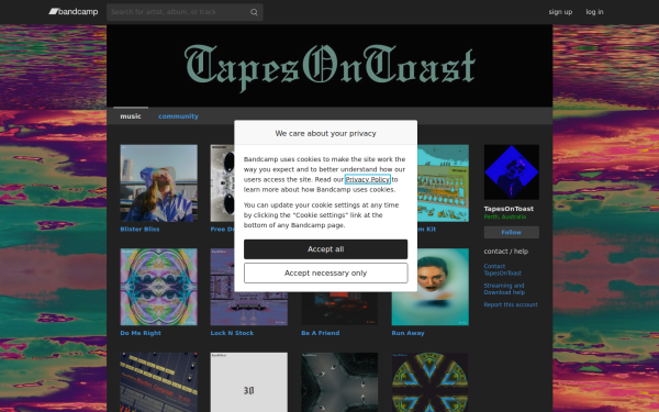 tapesontoast.bandcamp.com
