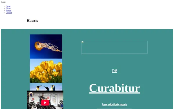 diekurzen.de