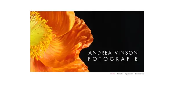 andrea-vinson.de