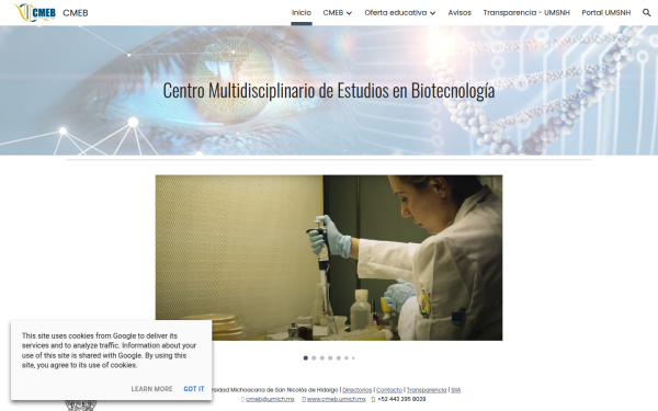 cmeb.umich.mx