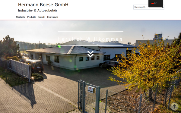 boese-gmbh-saw.de