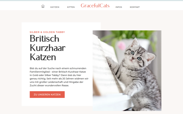 britisch-kurzhaar-katze.de