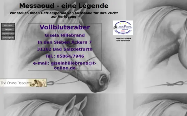 messaoud-besamungen.de