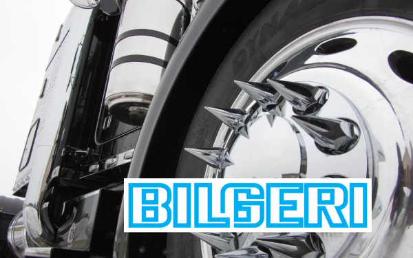 bilgeri-transporte.de