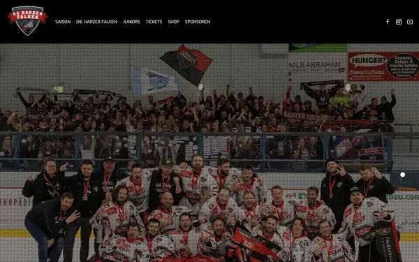 www.harzer-falken.de