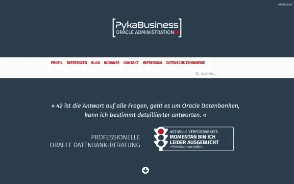 pyka.de
