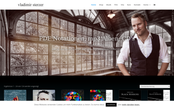 vladimirsterzer.com