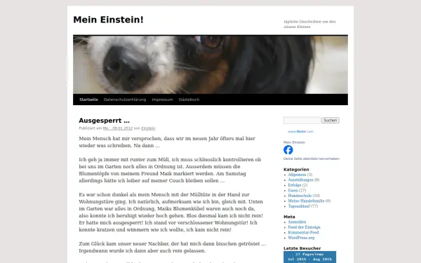 diepapillons.de