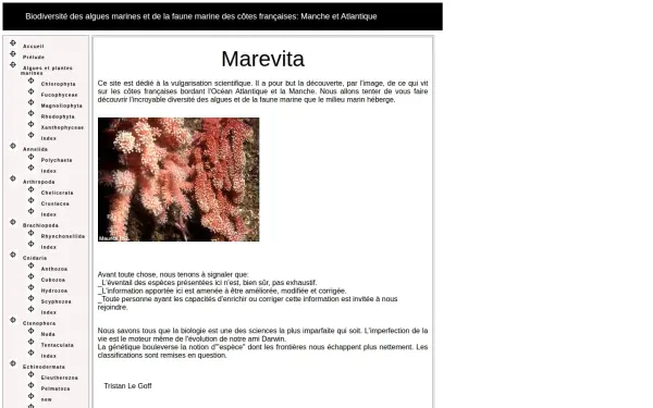 marevita.org
