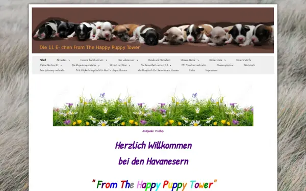 happypuppytower.dipago.de