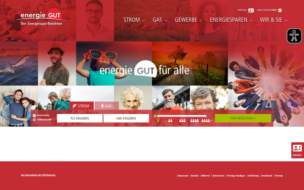 www.energiegut.de