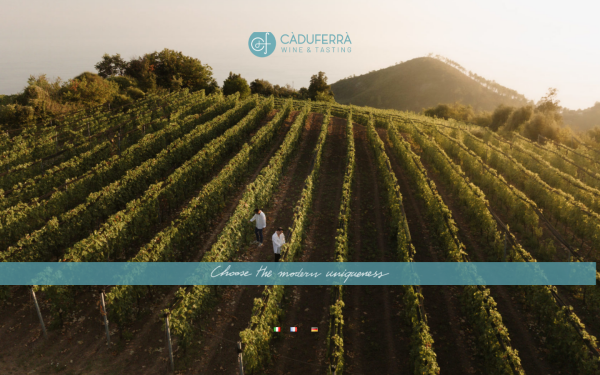 caduferra.wine