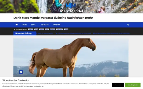 marcmandel.de