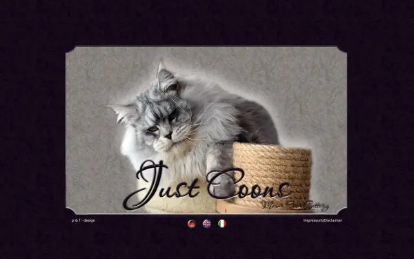 justcoons.de