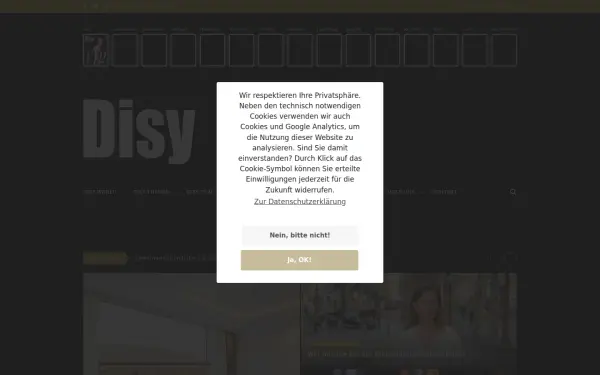 www.disy-magazin.de