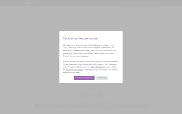 www.maxsensor.de