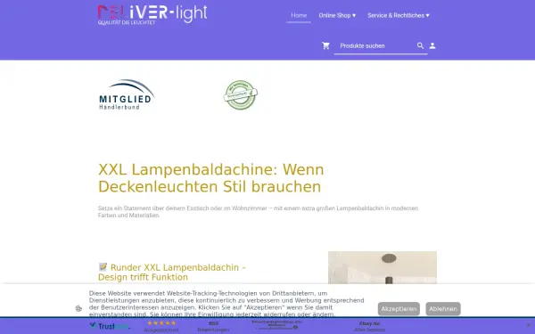 www.deliver-light.de