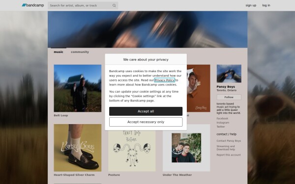pansyboys.bandcamp.com