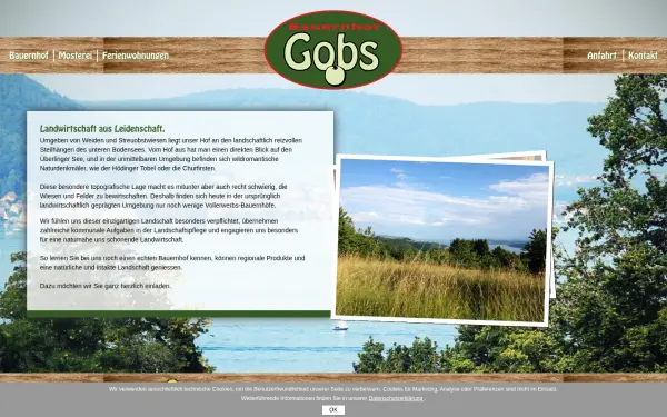 gobs-bodensee.de