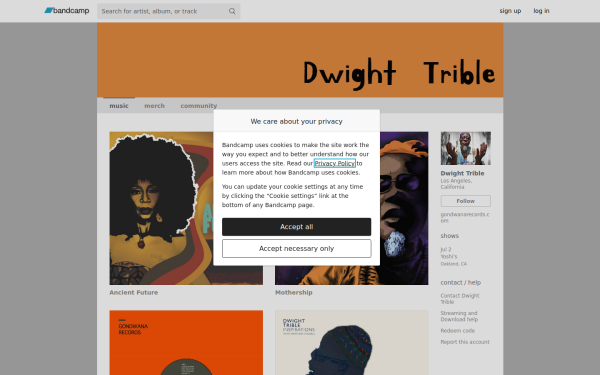 dwighttrible.bandcamp.com