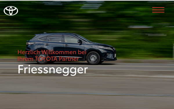 friessnegger.at
