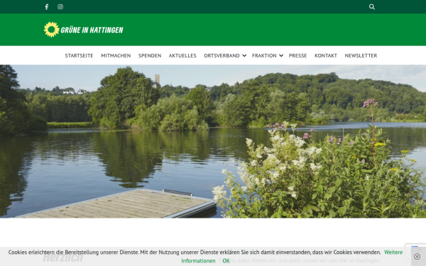 www.gruene-hattingen.de