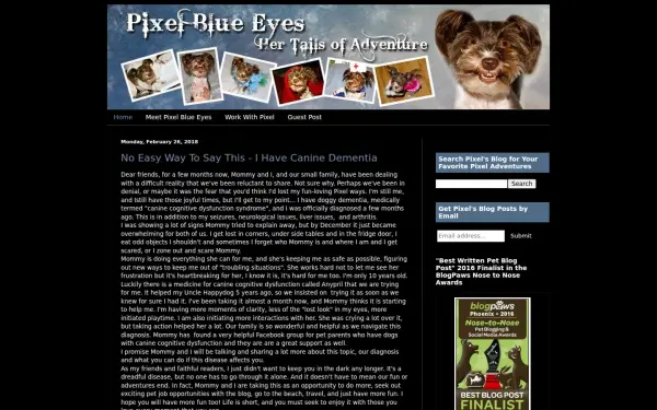 www.pixelblueeyes.com