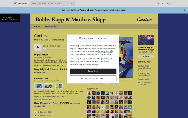 bobbykappmatthewshipp.bandcamp.com