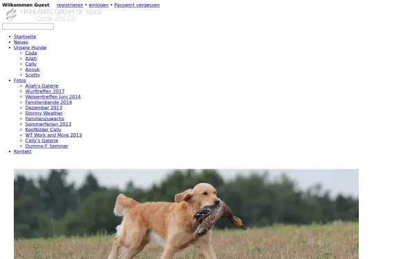 golden-retriever-zucht-werle.de