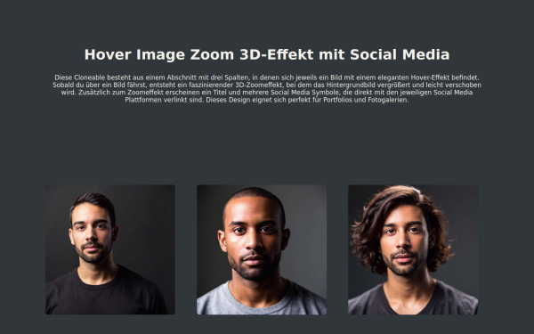 hover-image-zoom-effekt.webflow.io