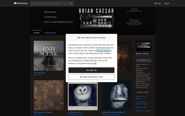 slowmotionpicture.bandcamp.com