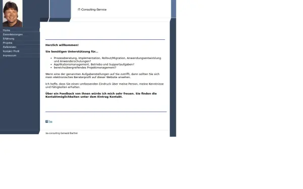 ba-consulting.de