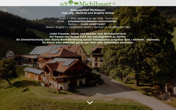 michlbauer-holzer.at
