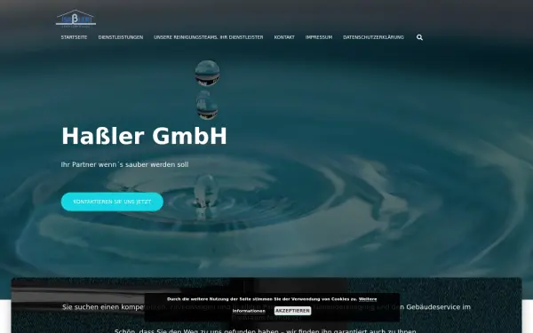 hassler-reinigt.de
