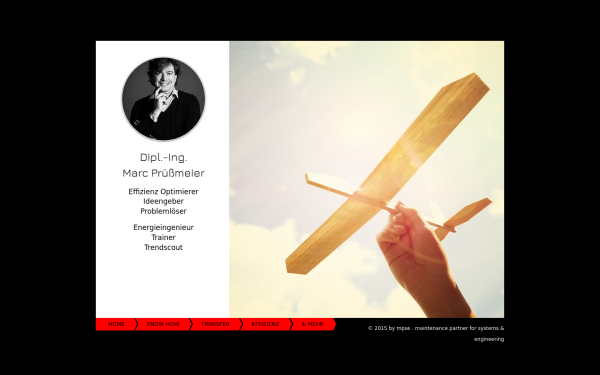 www.mpse.de