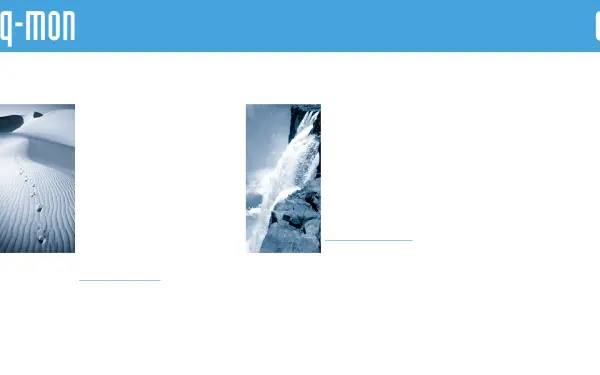 www.q-mon.de
