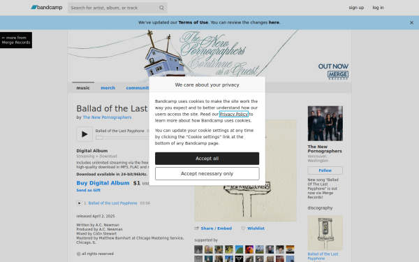 thenewpornos.bandcamp.com