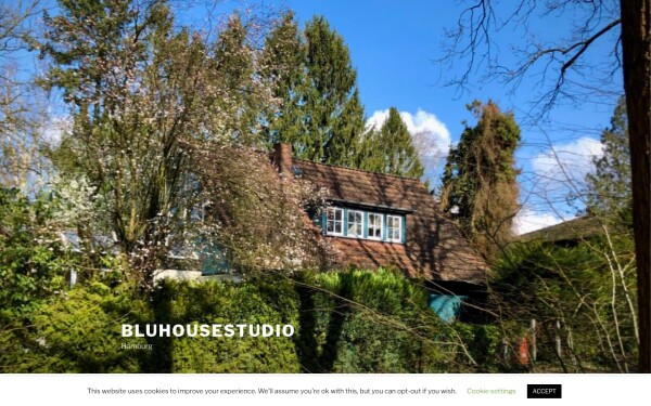 bluhousestudio.com