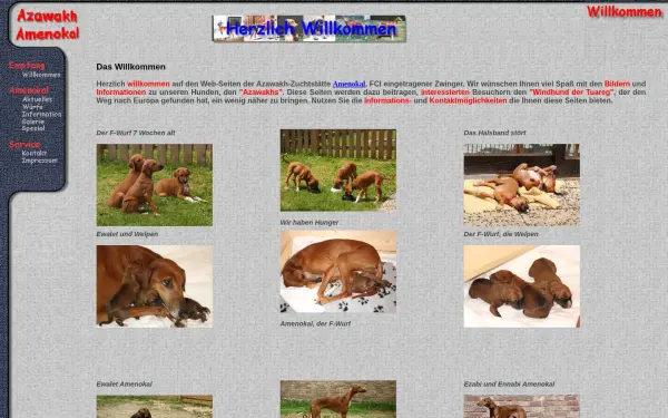 amenokal.de
