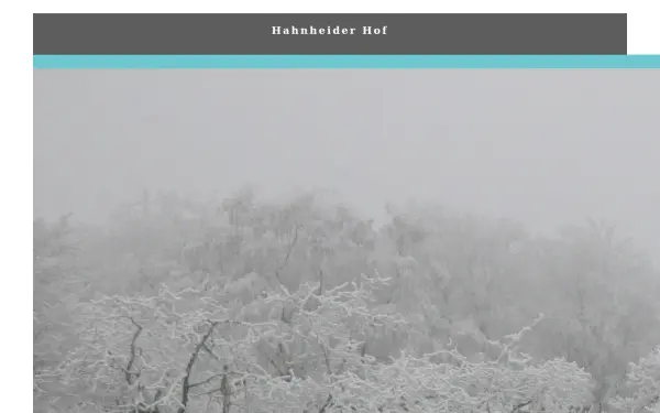 hahnheiderhof.de