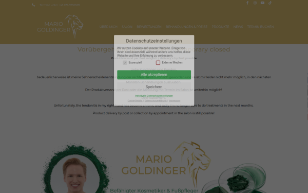 mariogoldinger.at
