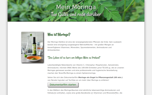 meinmoringa.at
