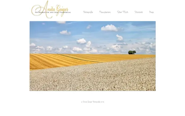 www.anitageiger.de