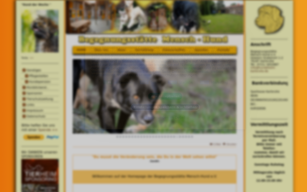 www.hundeheim-karlsruhe.de
