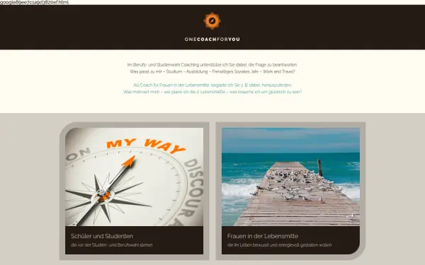 onecoachforyou.com